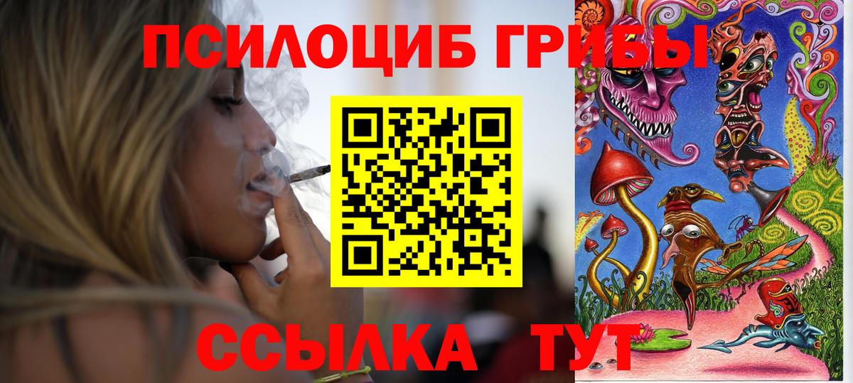 Псилоцибиновые грибы ЛСД Губкин
