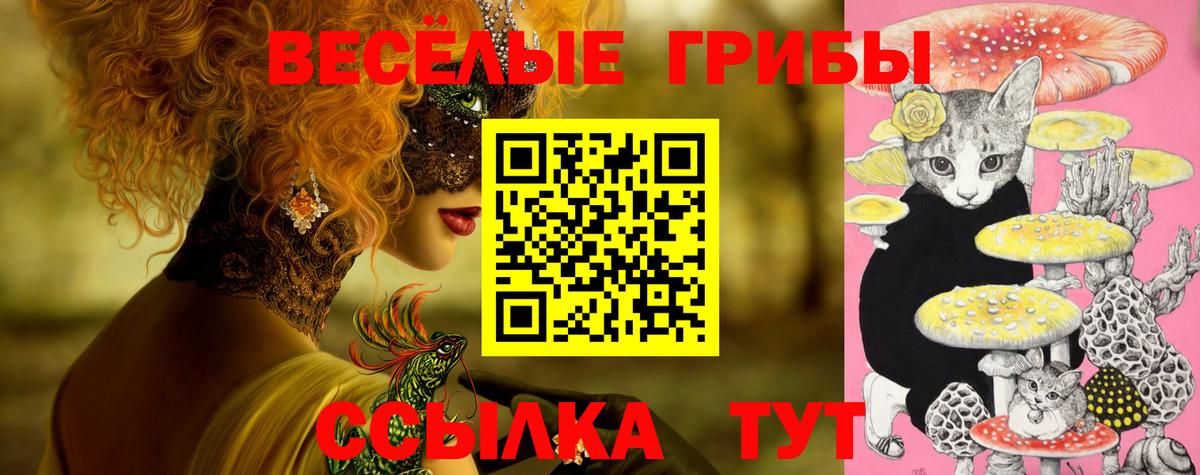 где можно купить наркотик  Галлюциногенные грибы Psilocybe  Вход с VPN  Губкин 